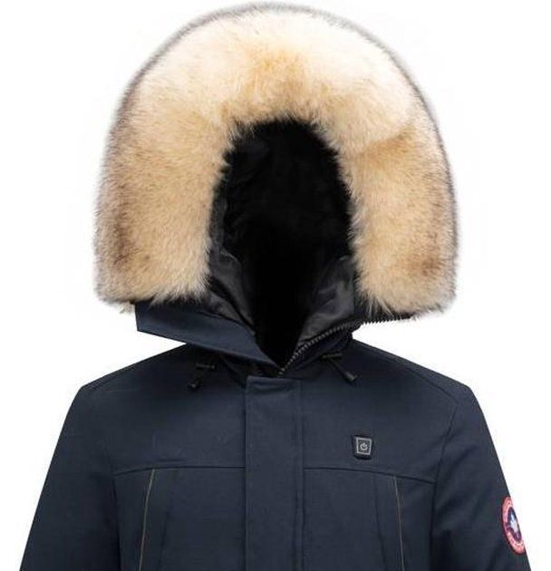 Paragoose Official Website